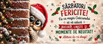 Cană de Crăciun cu bufniță și mesaj – Cadou de sărbători pentru cei dragi 🎄🦉