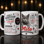 Cană personalizată cu nume – British Shorthair | Cadou personalizat pentru iubitorii de pisici