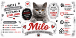 Cană personalizată cu nume – British Shorthair | Cadou personalizat pentru iubitorii de pisici