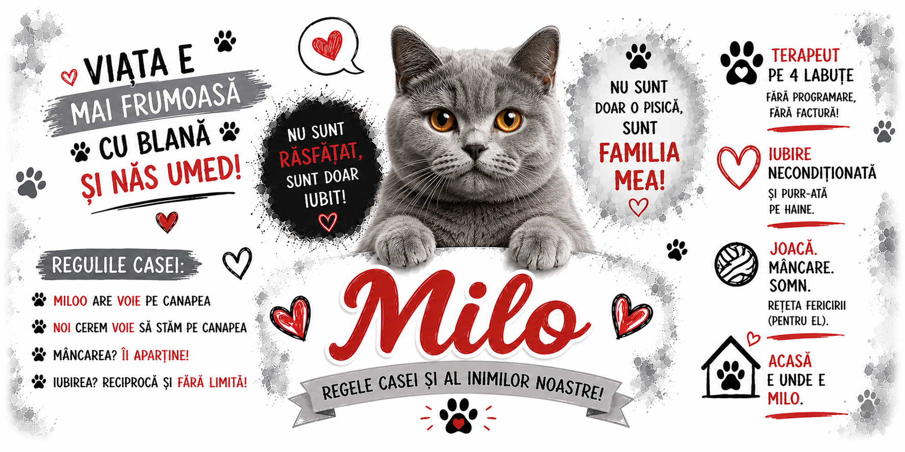 Cană personalizată cu nume – British Shorthair | Cadou personalizat pentru iubitorii de pisici