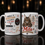 Cană personalizată cu nume – Maine Coon | Cadou personalizat pentru iubitorii de pisici