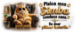 Cană personalizată „Pisica mea conduce casa. Eu doar plătesc facturile.” – cu nume personalizabil