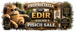 Cană personalizată „Proprietatea lui … și a pisicii sale” – cu nume personalizabil