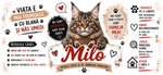 Cană personalizată cu nume – Maine Coon | Cadou personalizat pentru iubitorii de pisici